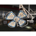 Hot selling petal light